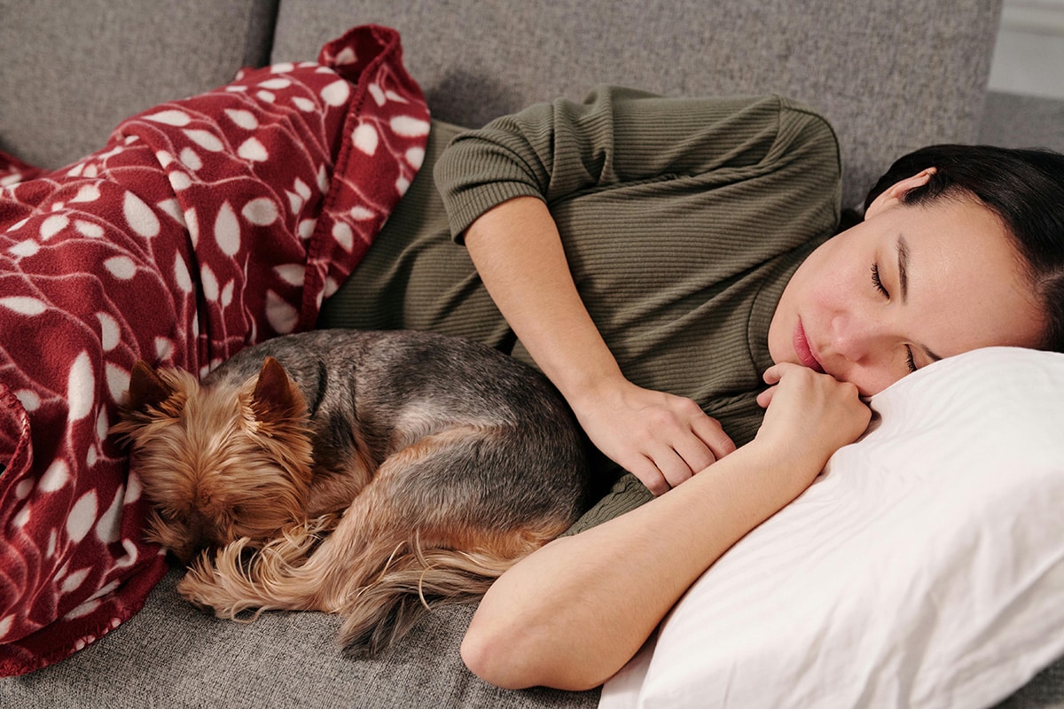 Pour faire de beaux rêves, il faut pouvoir dormir