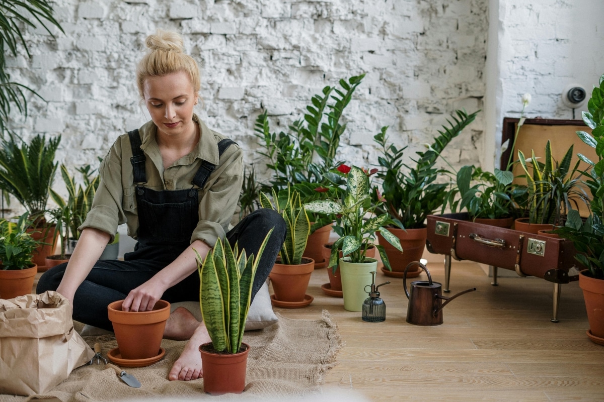 Cultivating Growth: How Coaching Plants Seeds for Continuous Learning